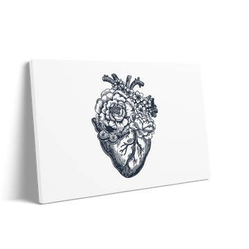THE HEART